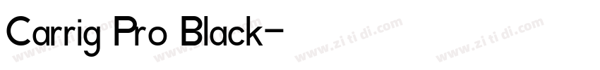 Carrig Pro Black字体转换